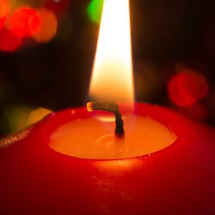 Photo de Violette JEUNET